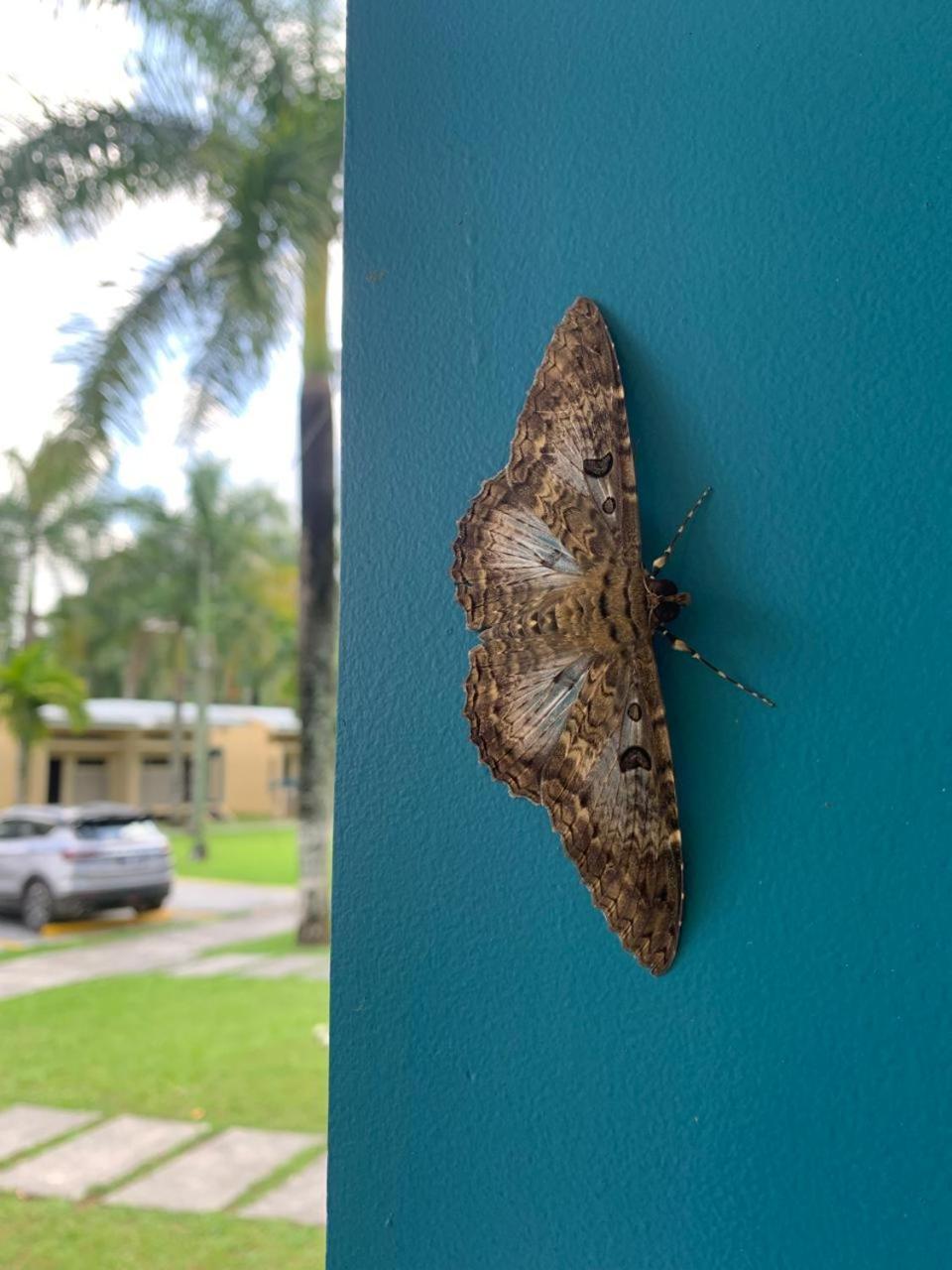 Hotel Los Rios Guácimo Kültér fotó